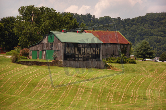 0283-OH "Mail Pouch Barn II-Ripley, OH"