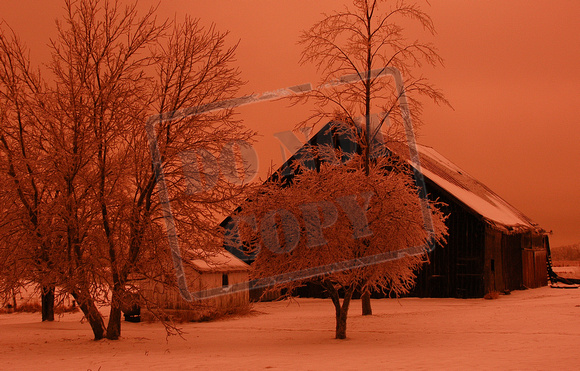 0137-IN   "Frozen Sunset"