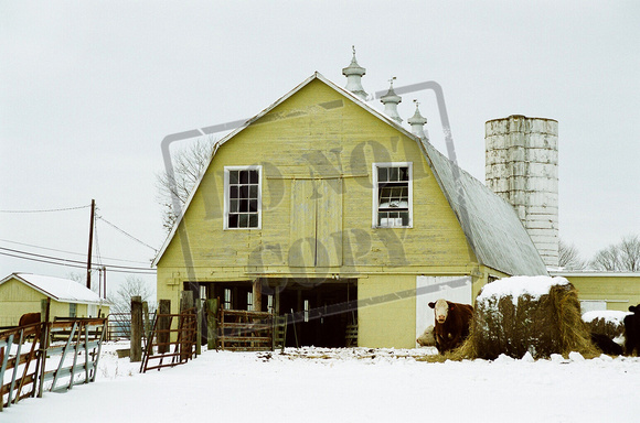 0141-KY-N "Yellow Barn"