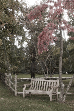 0224-OH   "Garden Bench in Fall" (manipulated)