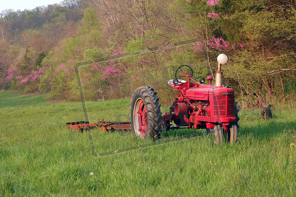 0158-IN  "Tractor and Red Buds"