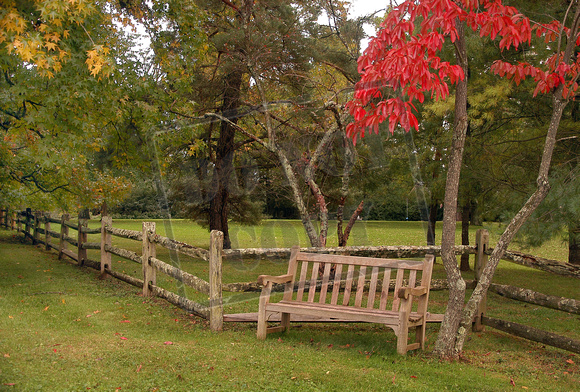 0157-OH  "Garden Bench in Fall" (horizonal)